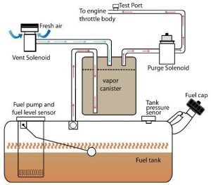 Shaken: EVAP system